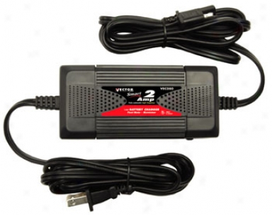 2 Amp Float Mode Charger Mainatiner