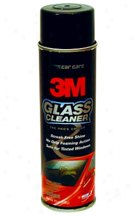 3m Glass Cleaner (19 Oz.)