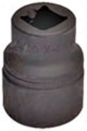 Assenmacher Specialty Tolos 36mm 12 Point Axle Nut Socket For Bmw