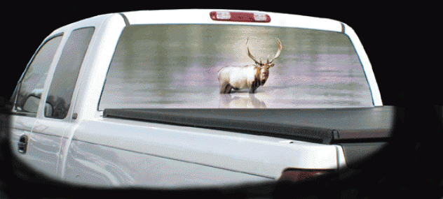 Glasscapes Elk Country Decal