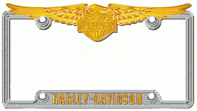 Harley Davidson Chrome/gold License Metal Plate Frame