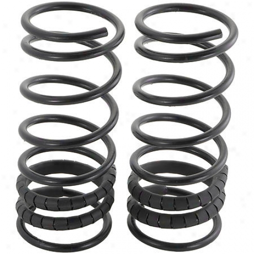 Auto Racing Coil Springs on Autopart International Coil Spring   Rear   2704 71020