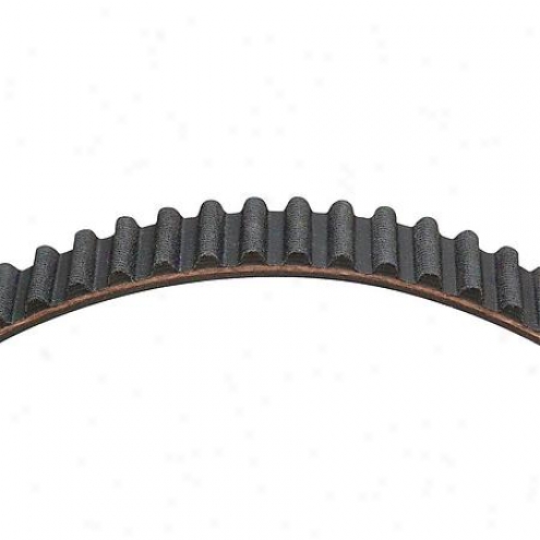 Dayco Balance Shaft Belt - 95168