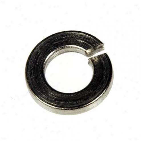 Dorman Stainless Steel Split Lock Washers - 45976