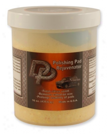 Dp Polishing Pad Rejuvenator
