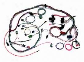 Universal Universal Painless Wiring  Fuel Clyster Wire Tackling 60210