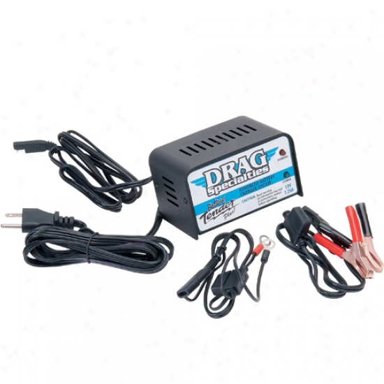 1.25a Battery Charger