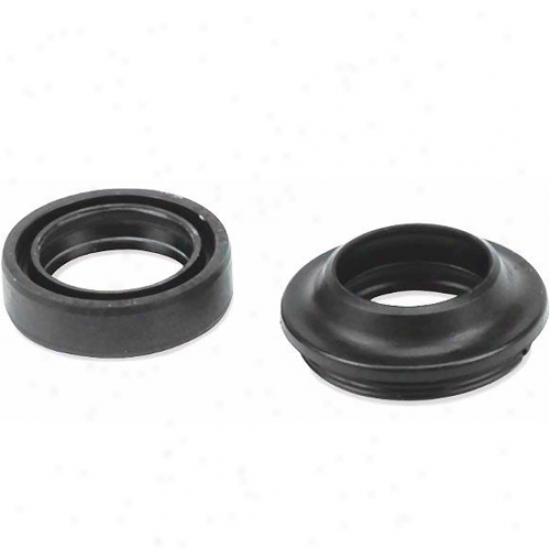 E6 Dust And Oil Seals