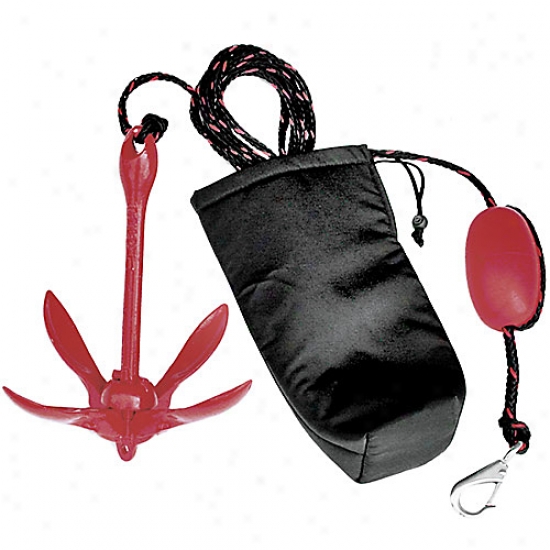 Grapnel Pwc Anchor System