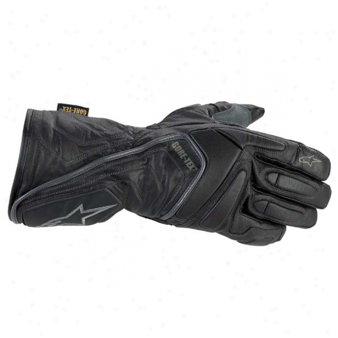 Wr-3 Gore-tex Gloves