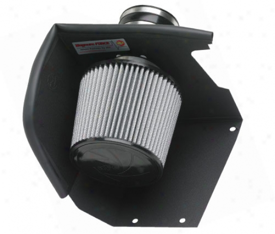 Afe Stage 1 Pro Dry S Cold Air Intake System